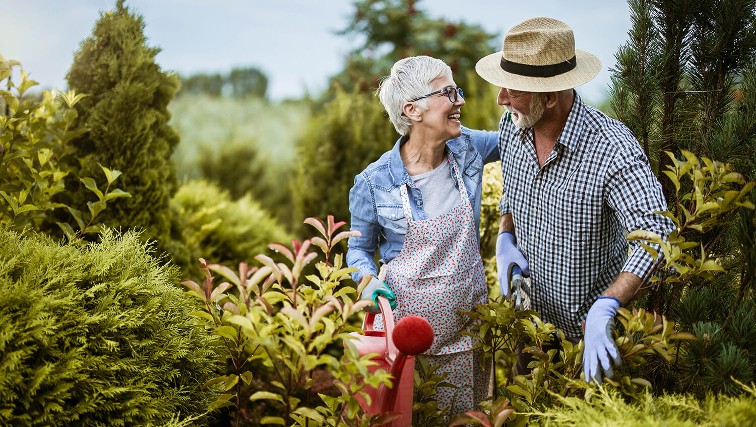 A couple works in their garden.